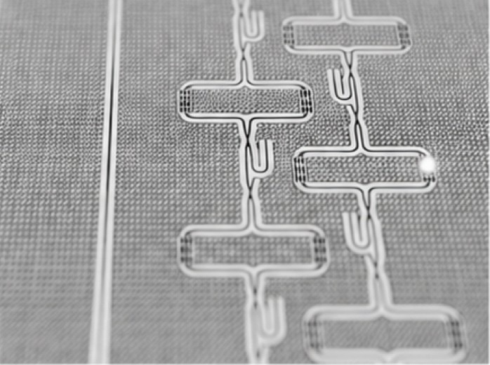 Photonic chip